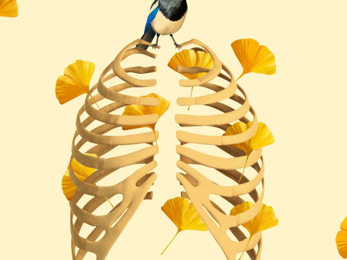 Human Acts by Han&nbsp;Kang